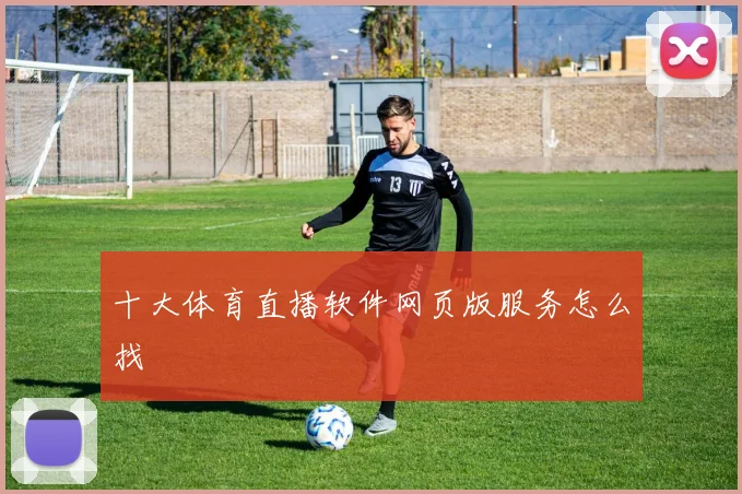 十大体育直播软件网页版服务怎么找