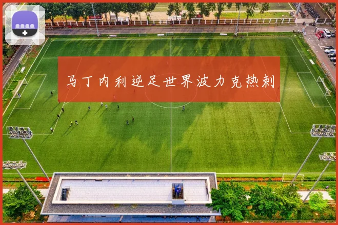 马丁内利逆足世界波力克热刺