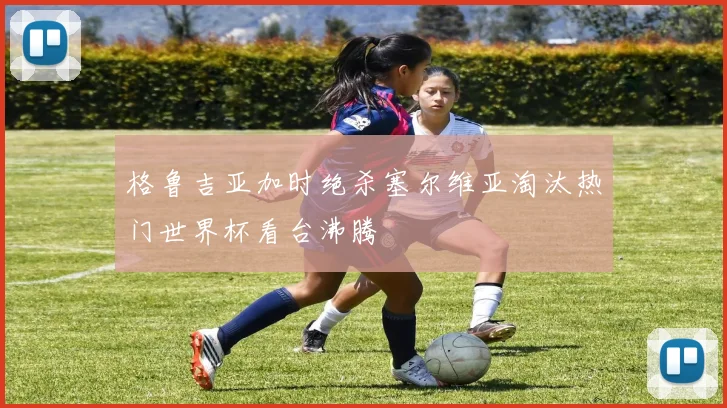 格鲁吉亚加时绝杀塞尔维亚淘汰热门世界杯看台沸腾