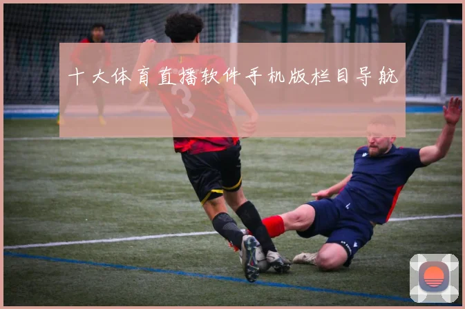 十大体育直播软件手机版栏目导航