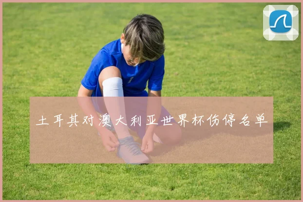 土耳其对澳大利亚世界杯伤停名单