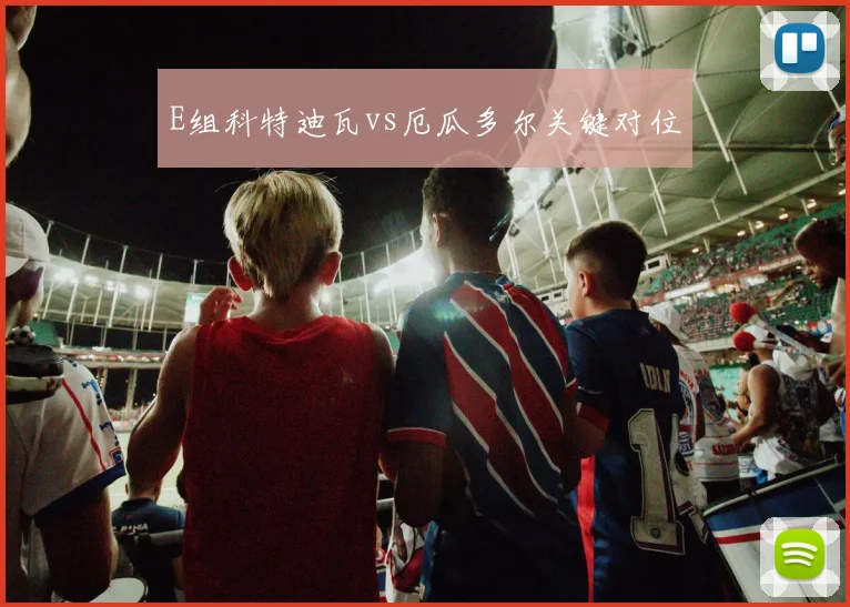 E组科特迪瓦vs厄瓜多尔关键对位