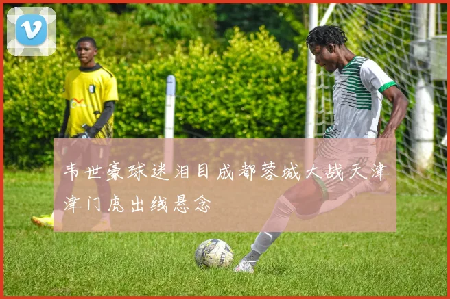 韦世豪球迷泪目成都蓉城大战天津津门虎出线悬念